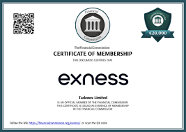 Exploring the Exness Cent Account Bonus Benefits